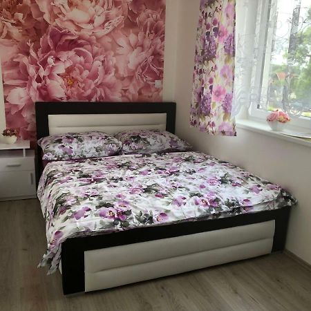 Apartman Na Lukach - Kopretina Třeboň 外观 照片