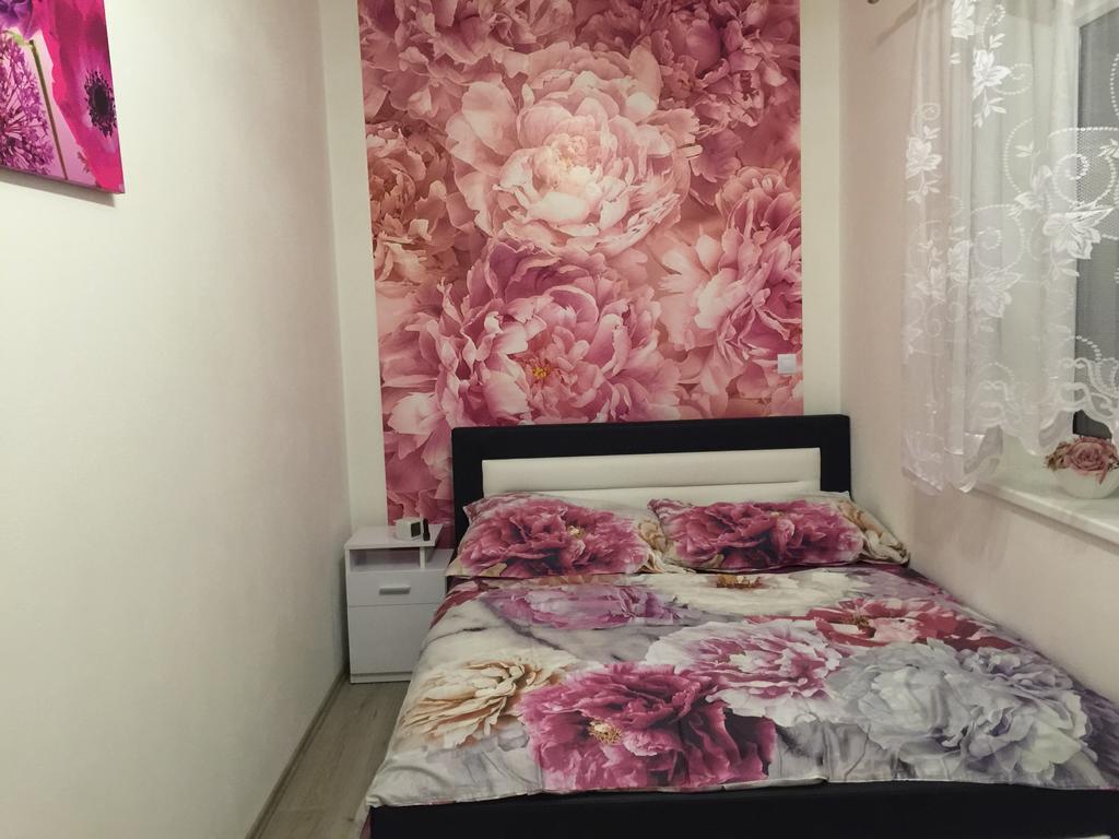Apartman Na Lukach - Kopretina Třeboň 外观 照片